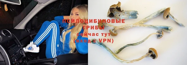скорость Аркадак