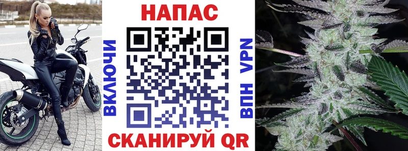 МАРИХУАНА SATIVA & INDICA  Купить где  Урень 